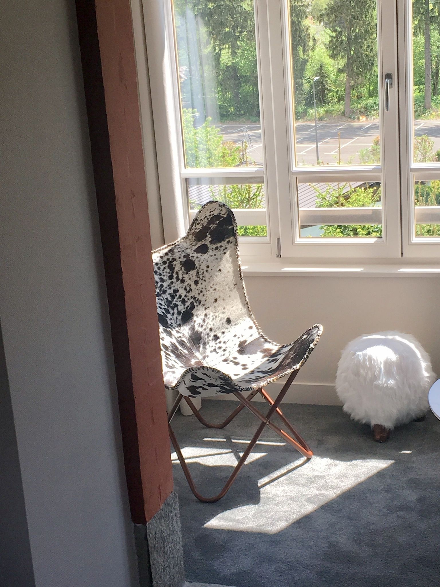 A room with a large window, a folding chair, and a fluffy white object on the floor.