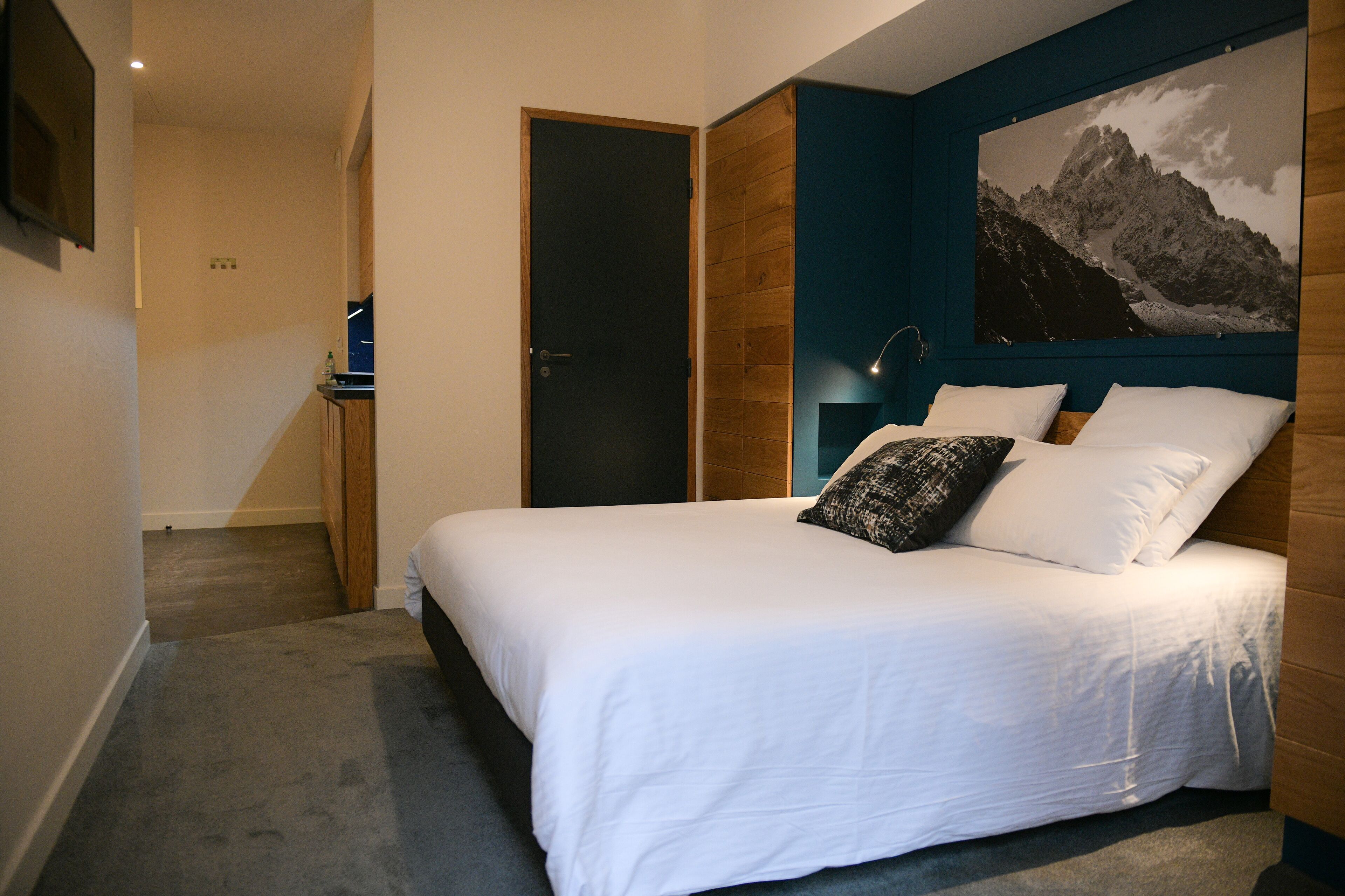 A bedroom with a bed, a nightstand, a wall-mounted lamp, and a large framed picture of a mountain.