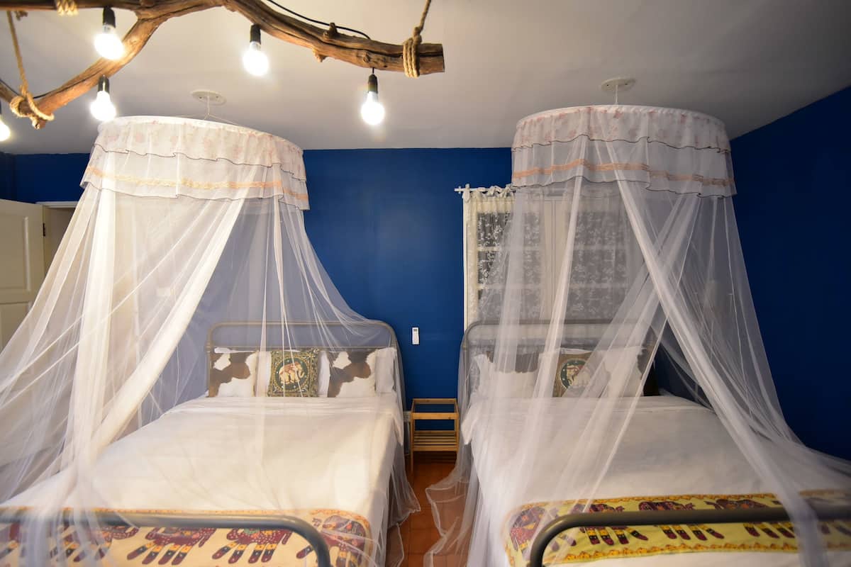 Two beds with white bedsheets and canopy beds, a wooden ceiling with hanging lights, and a blue wall.