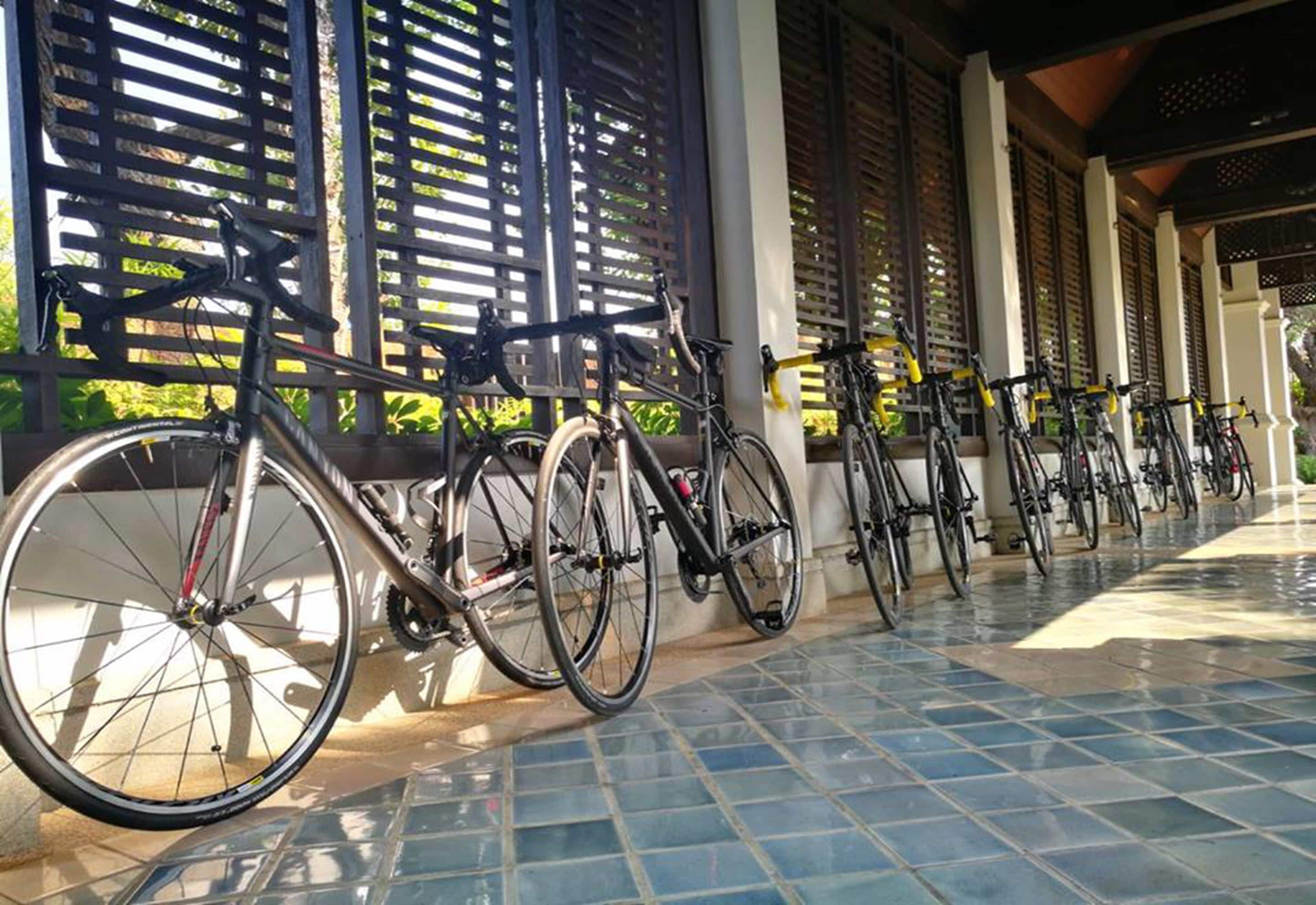 Bicycles parked in a covered area with tiled flooring and wooden slats.