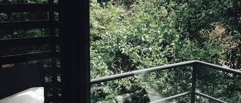 Studio Room Forest View
