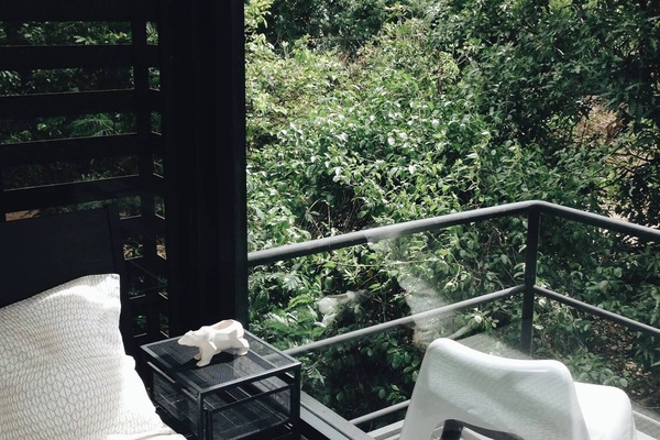 Studio Room Forest View | Blackout drapes, free WiFi