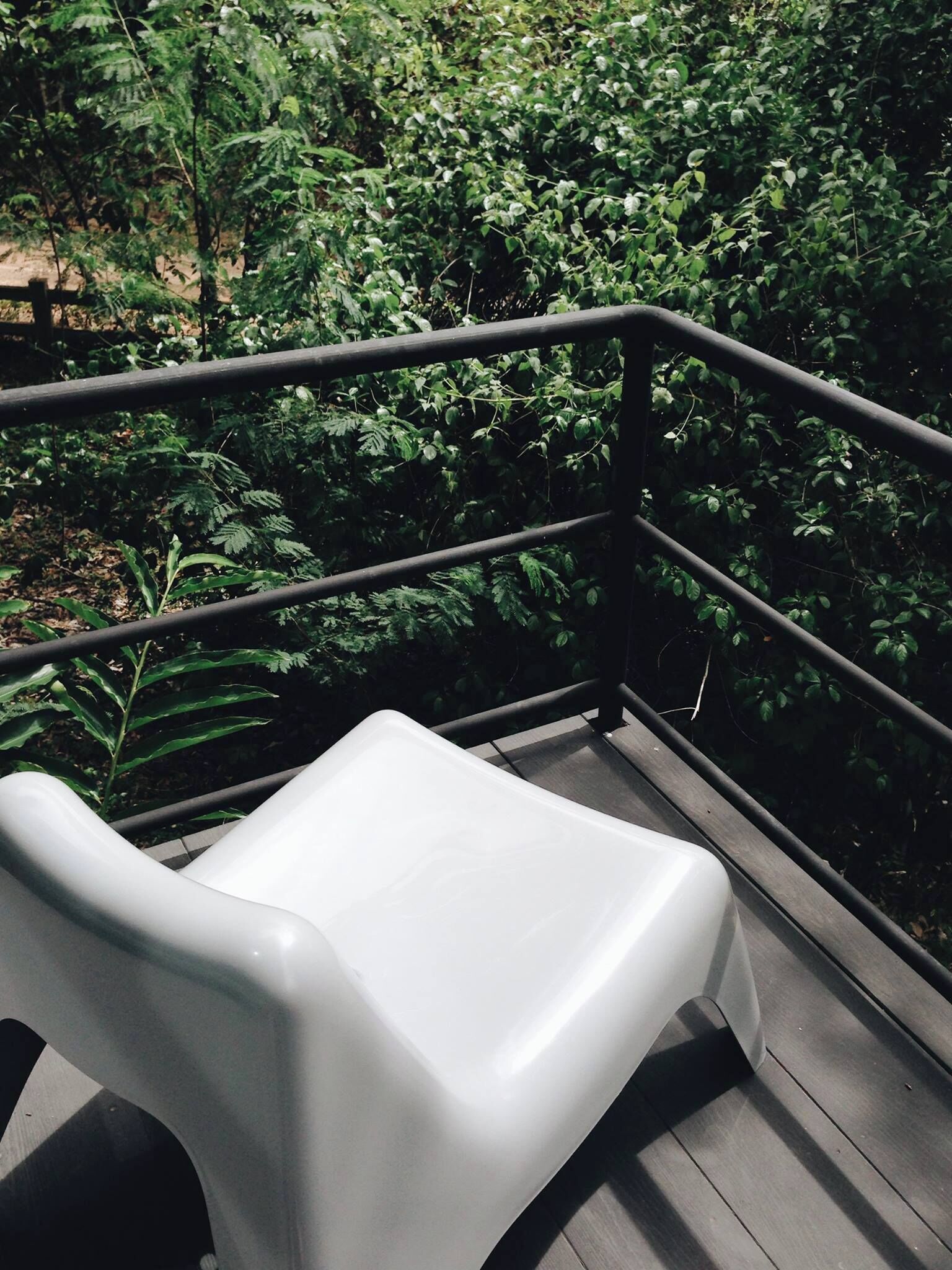 Studio Room Forest View | Blackout drapes, free WiFi