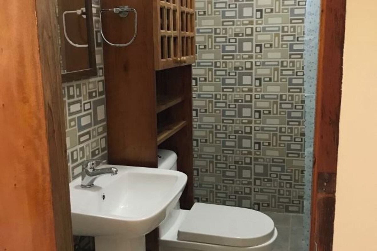 A bathroom with a white sink, a toilet, and a wooden shelf unit.
