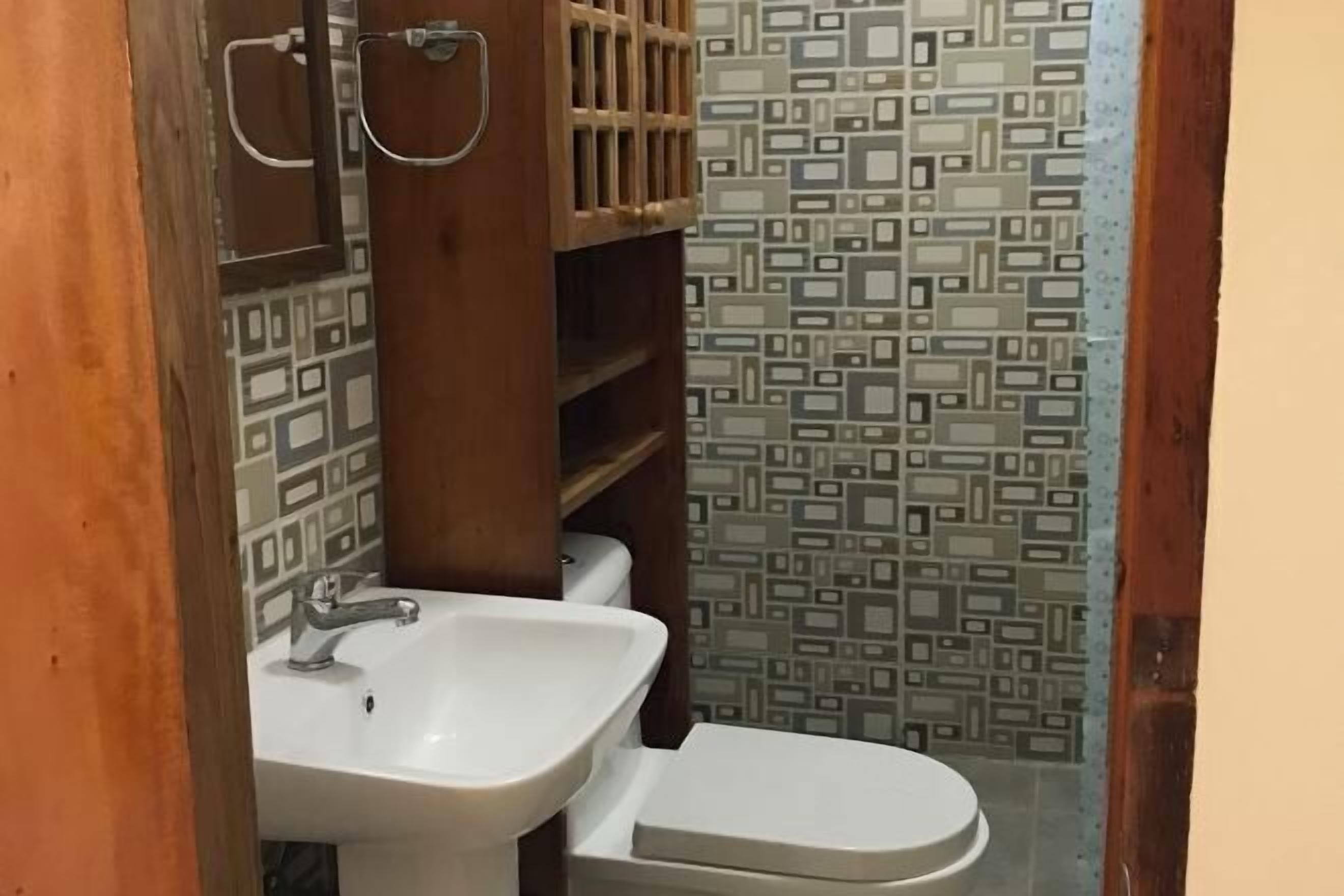 Shower, hair dryer, bidet, soap