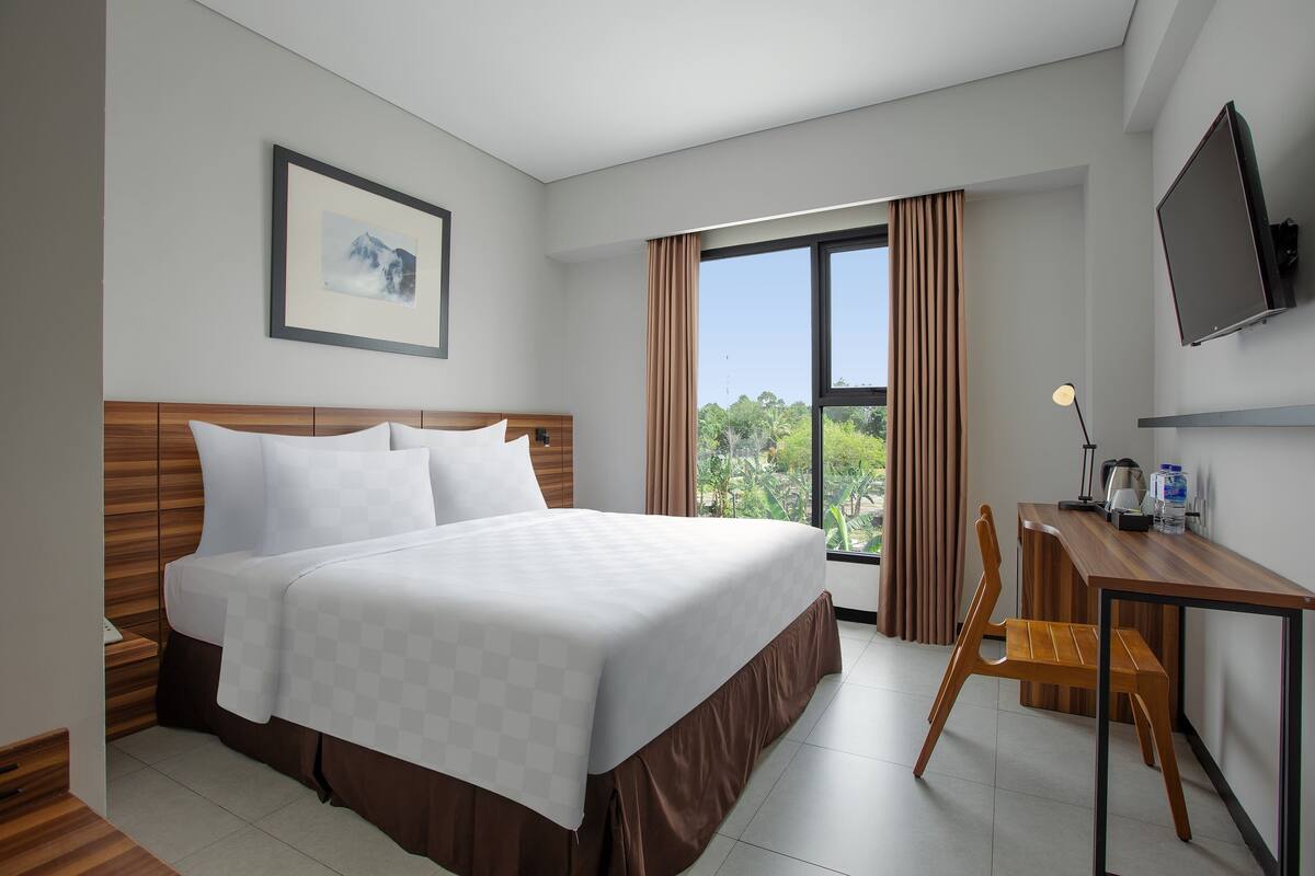 Deluxe Queen | View from room