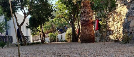 Pátio com pedriscos, uma palmeira e uma parede de pedra.