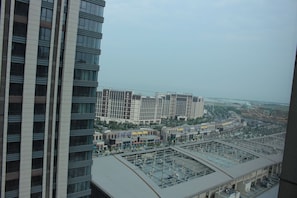 Business Suite | View from room