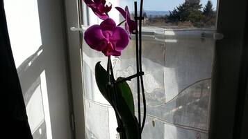 A potted orchid plant on a windowsill with a view of a distant landscape.