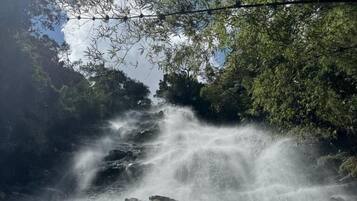 A waterfall cascading over dark rocks with dense green foliage overhead.