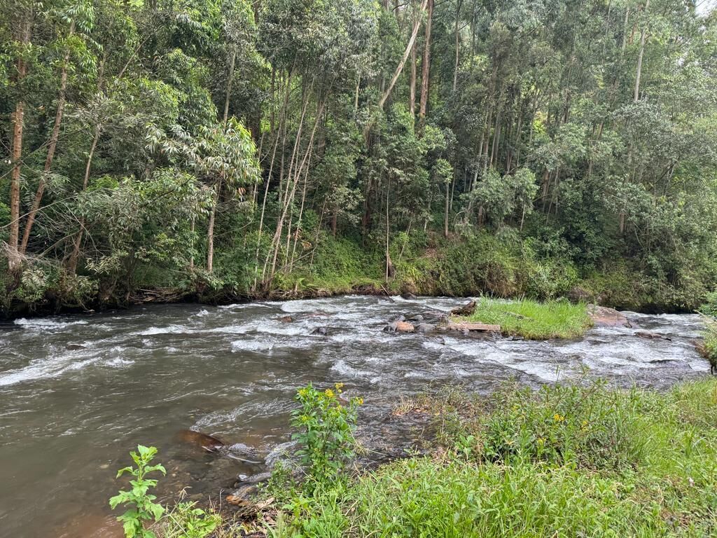 Une rivière qui traverse une zone boisée, caractérisée par une végétation dense et de nombreux arbres.