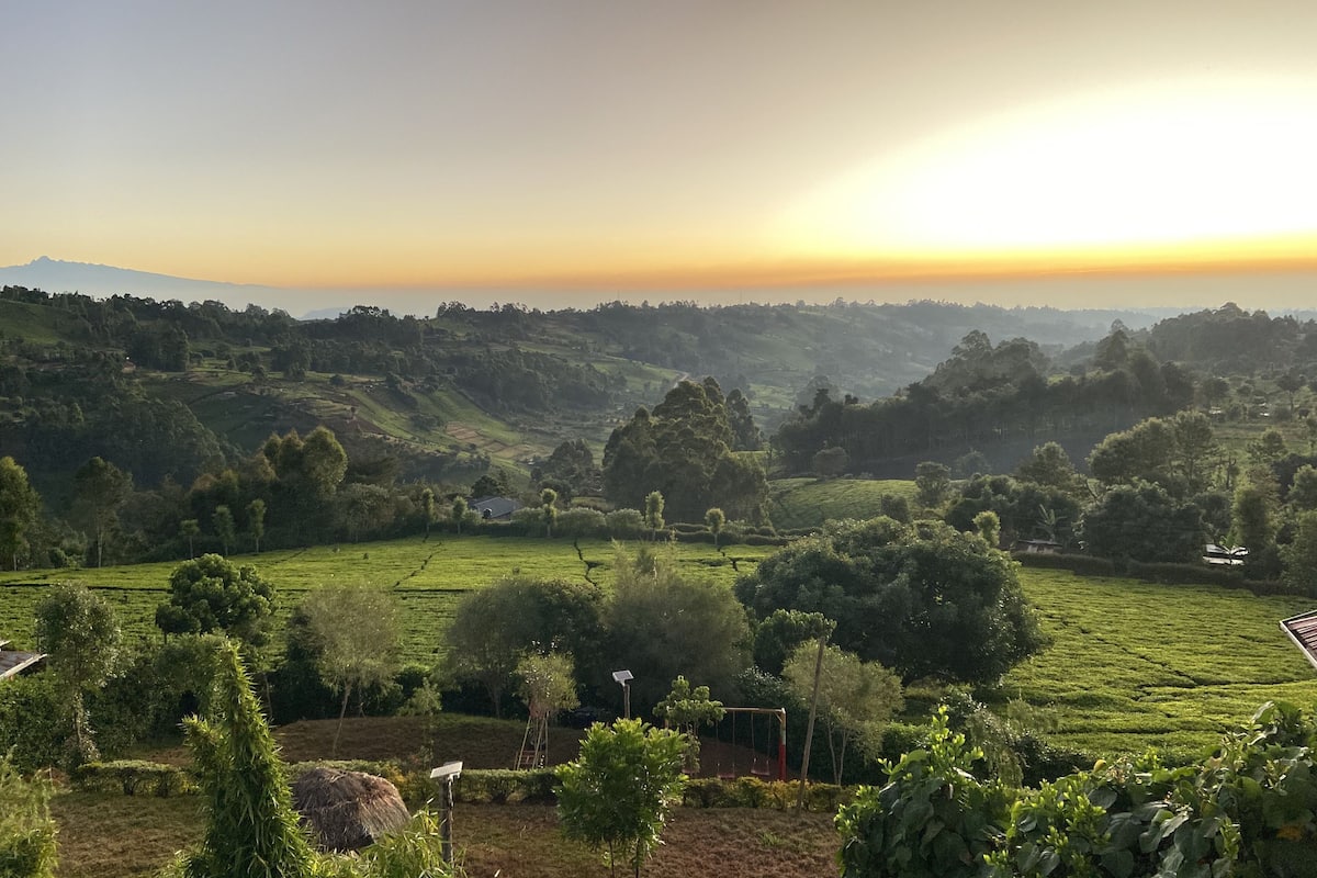 A lush green landscape with rolling hills and a clear sky.