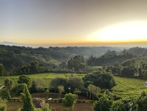 A lush green landscape with rolling hills and a clear sky.