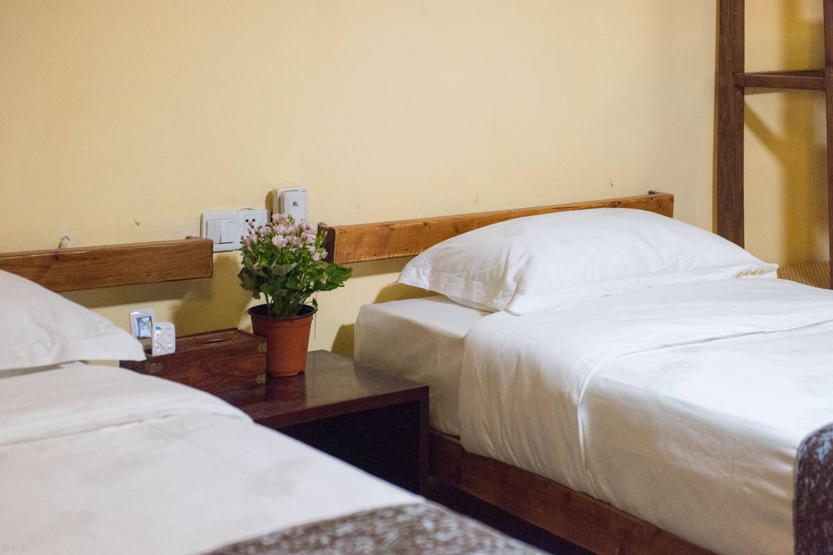 Habitación de hotel con dos camas individuales, cabecero de madera, mesita de noche con planta en maceta y termostato fijado a la pared.