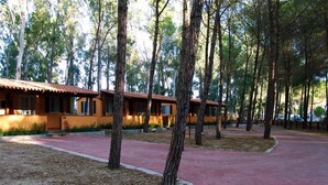 Une rangée de cabanes en bois, séparées par un chemin pavé de briques rouges.
