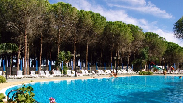 Une piscine avec des chaises longues et des arbres en arrière-plan.