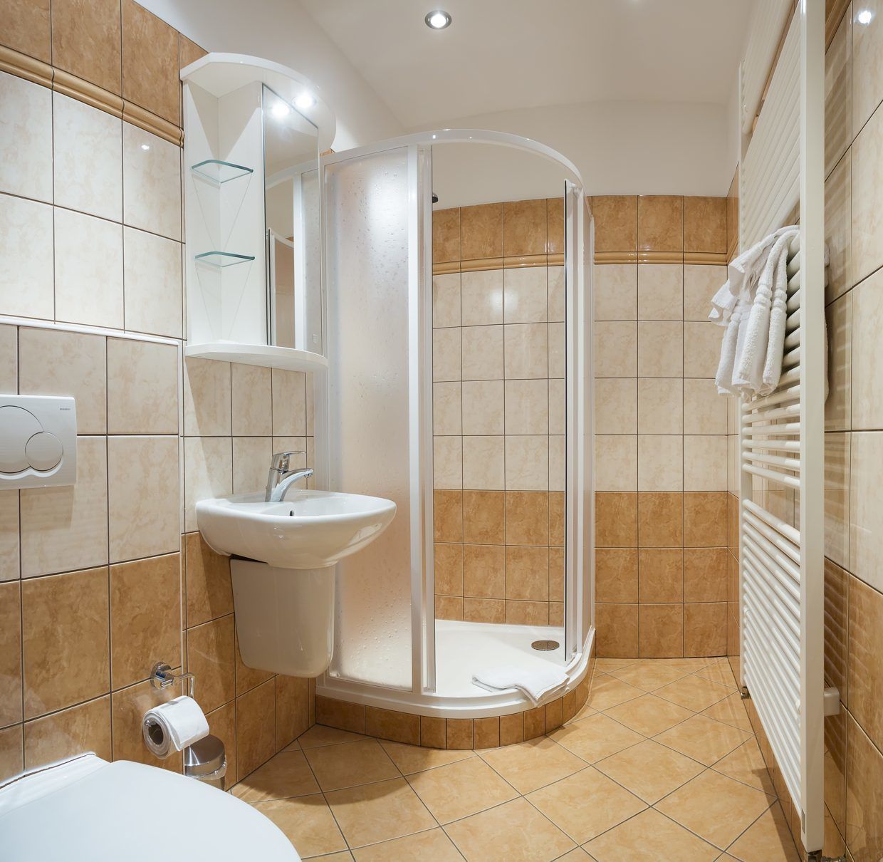 Een douche, gratis toiletartikelen, een haardroger, handdoeken