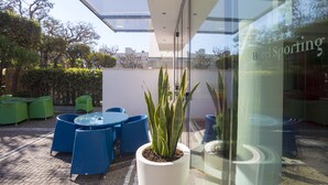 Een terras met blauwe stoelen en een potplant.