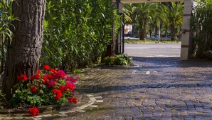 Een geplaveid pad leidt naar een overdekt gebied met weelderig groen en rode bloemen.