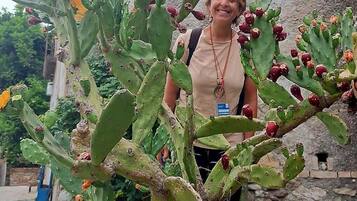 Una persona in piedi accanto a un cactus con fiori e frutti.