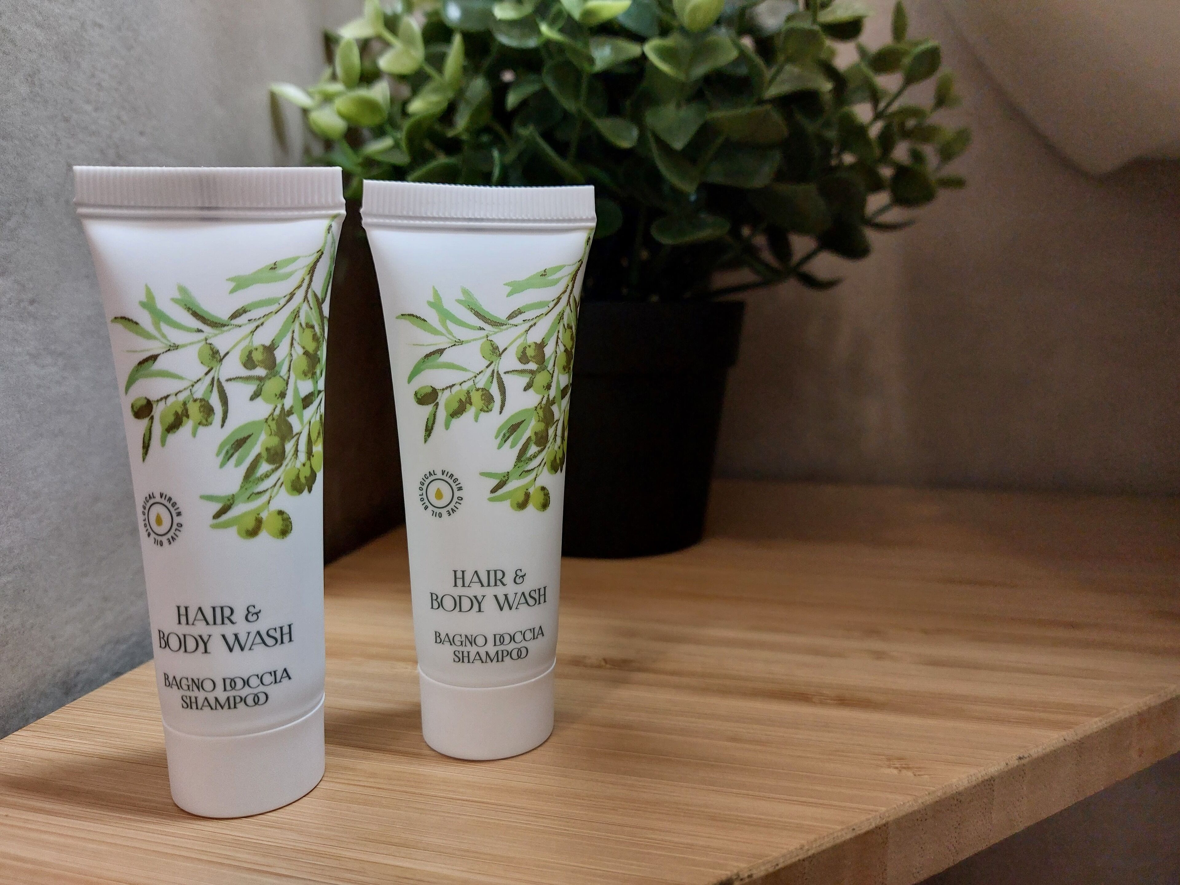Dos botellas de champú para cabello y cuerpo sobre una superficie de madera, con una planta en maceta al fondo.