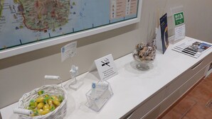 Une table d’exposition avec une carte, des panneaux d’information et un panier de citrons.
