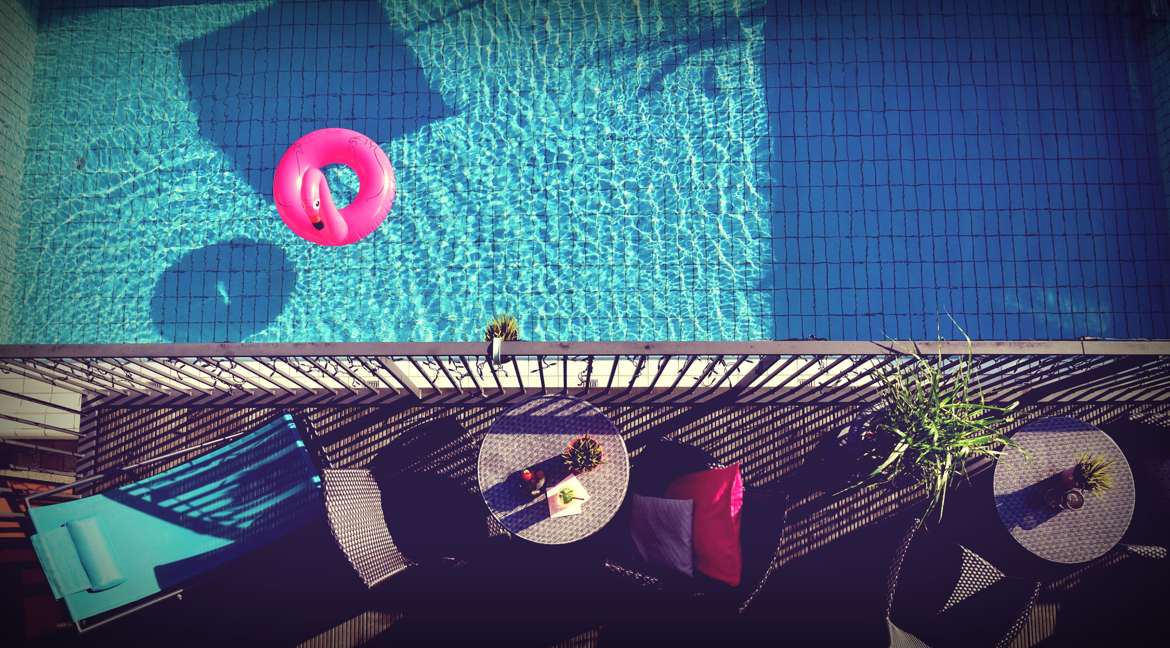 Una piscina en la azotea con un flotador con forma de flamenco rosa, sillas de descanso y vistas de un edificio.