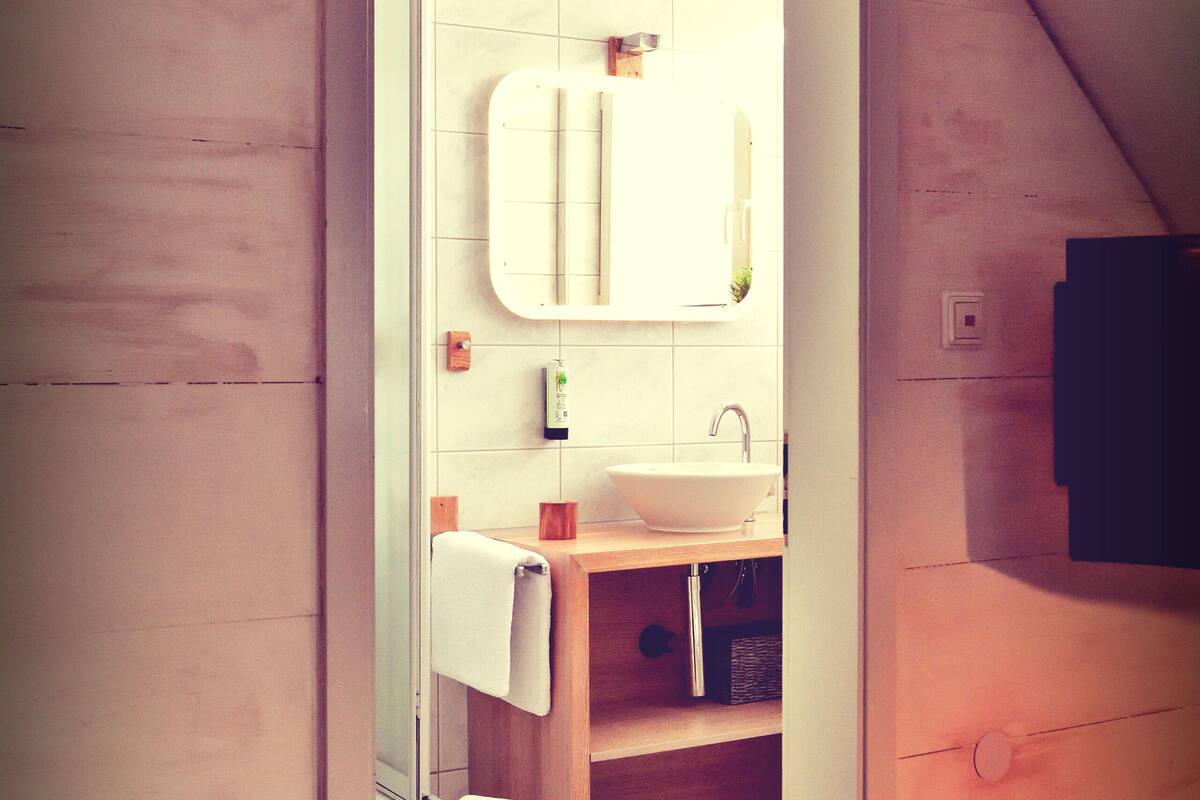 shower, free toiletries, hair dryer, towels