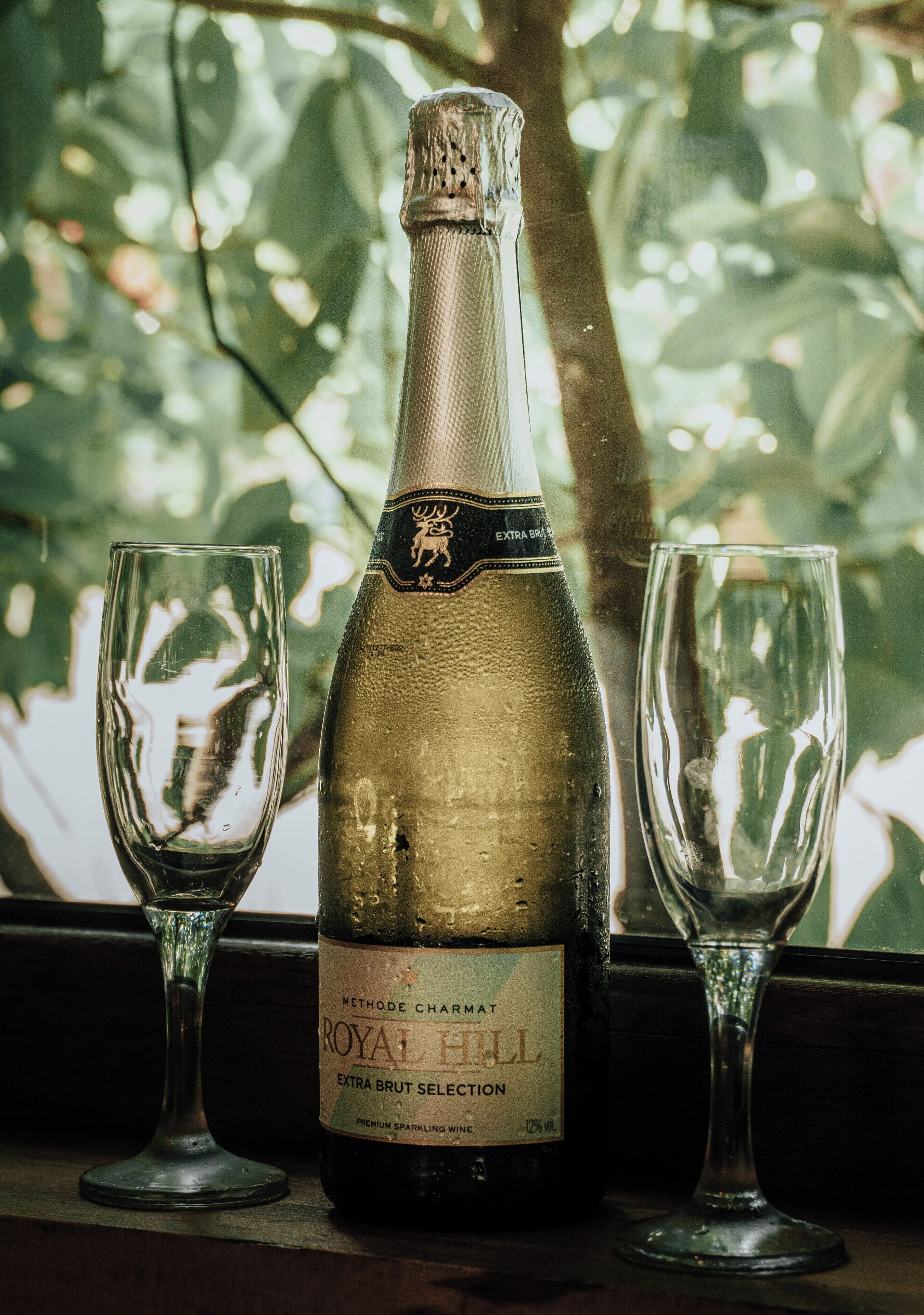 A bottle of Royal Hill champagne with two empty glasses beside it, placed on a ledge with a view of trees.