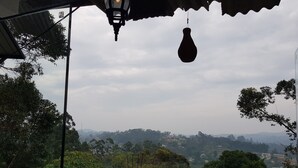 Vista de uma área externa coberta com luminária pendente, telhado de azulejos e vegetação densa ao fundo.