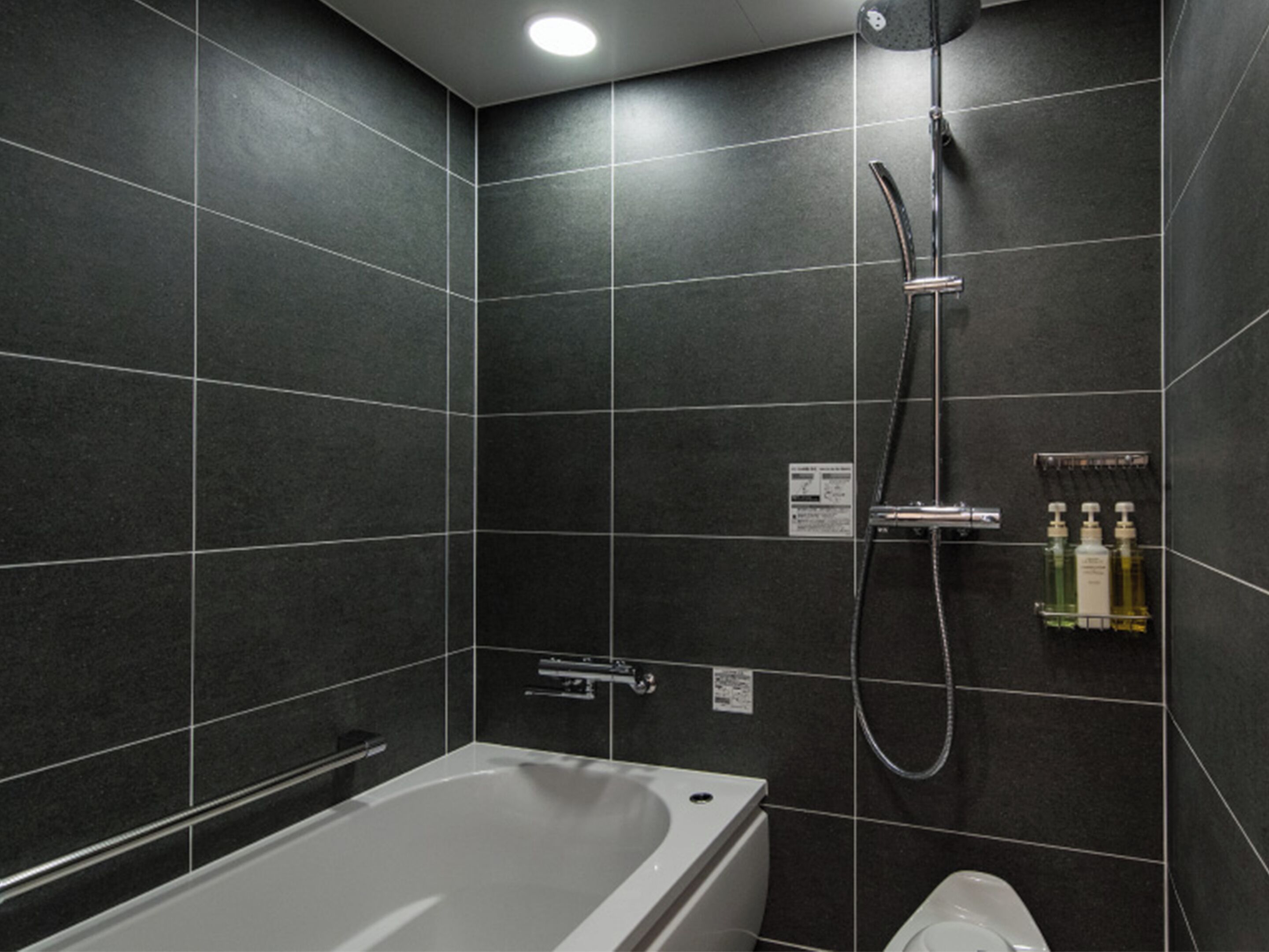 A modern bathroom with a bathtub, a shower, and a toilet.