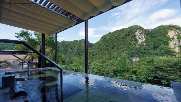 A rooftop infinity pool with a view of a forested mountain range.