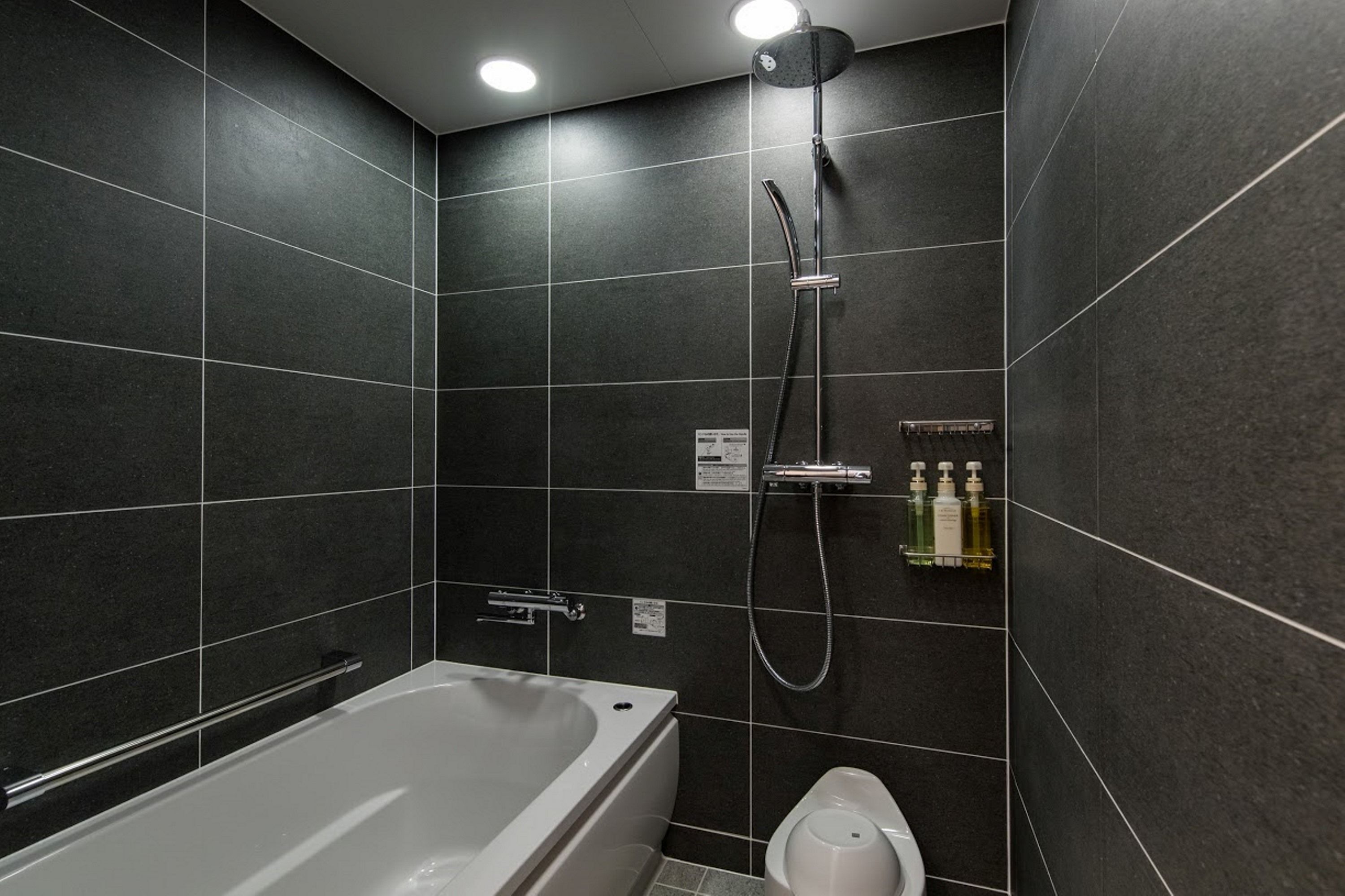 A modern bathroom with a bathtub, a shower, and a toilet.