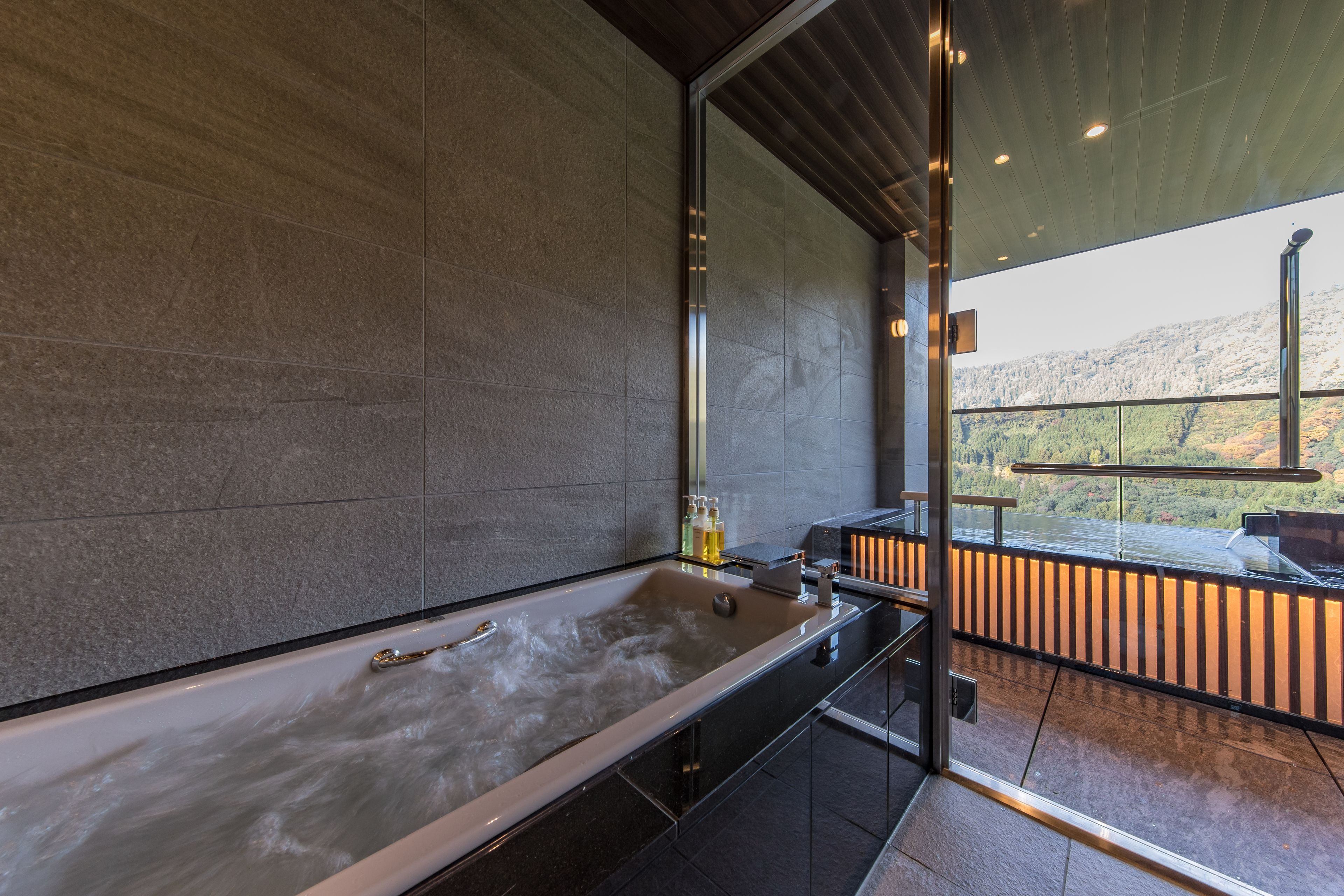 Baignoire et douche séparées, articles de toilette gratuits