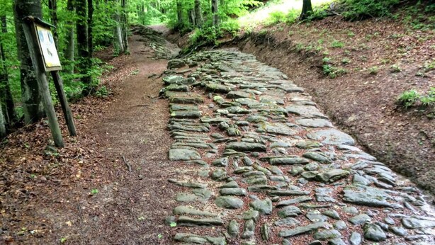 A stone pathway in a forested area. - Albergo Ristorante Poli (San Benedetto Val di Sambro)