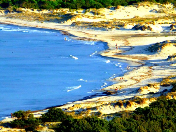 Un paisaje costero con una playa arenosa, afloramientos rocosos y abundante vegetación.