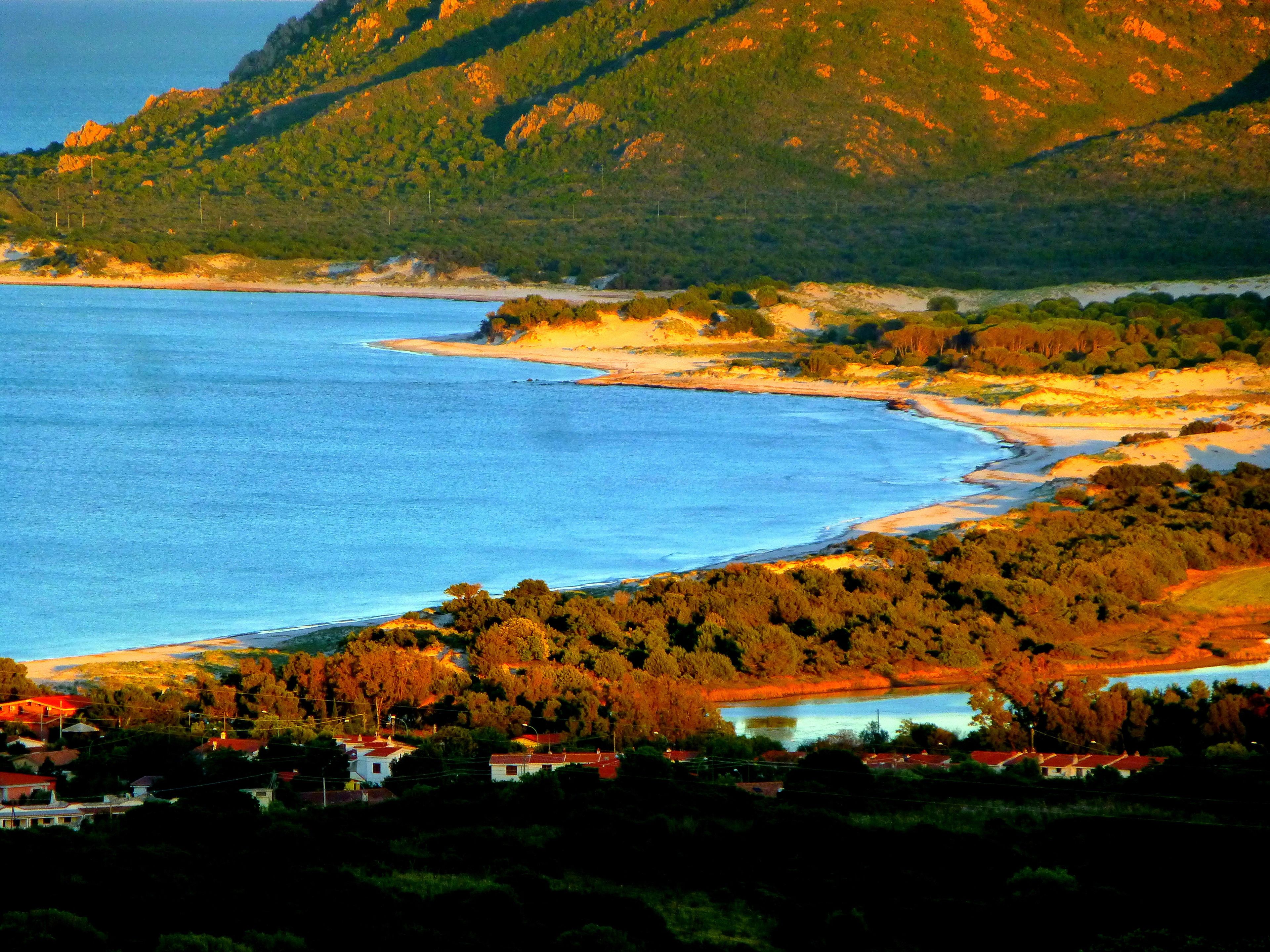 Un paysage côtier comprenant une plage, des collines boisées et un petit village avec des maisons.