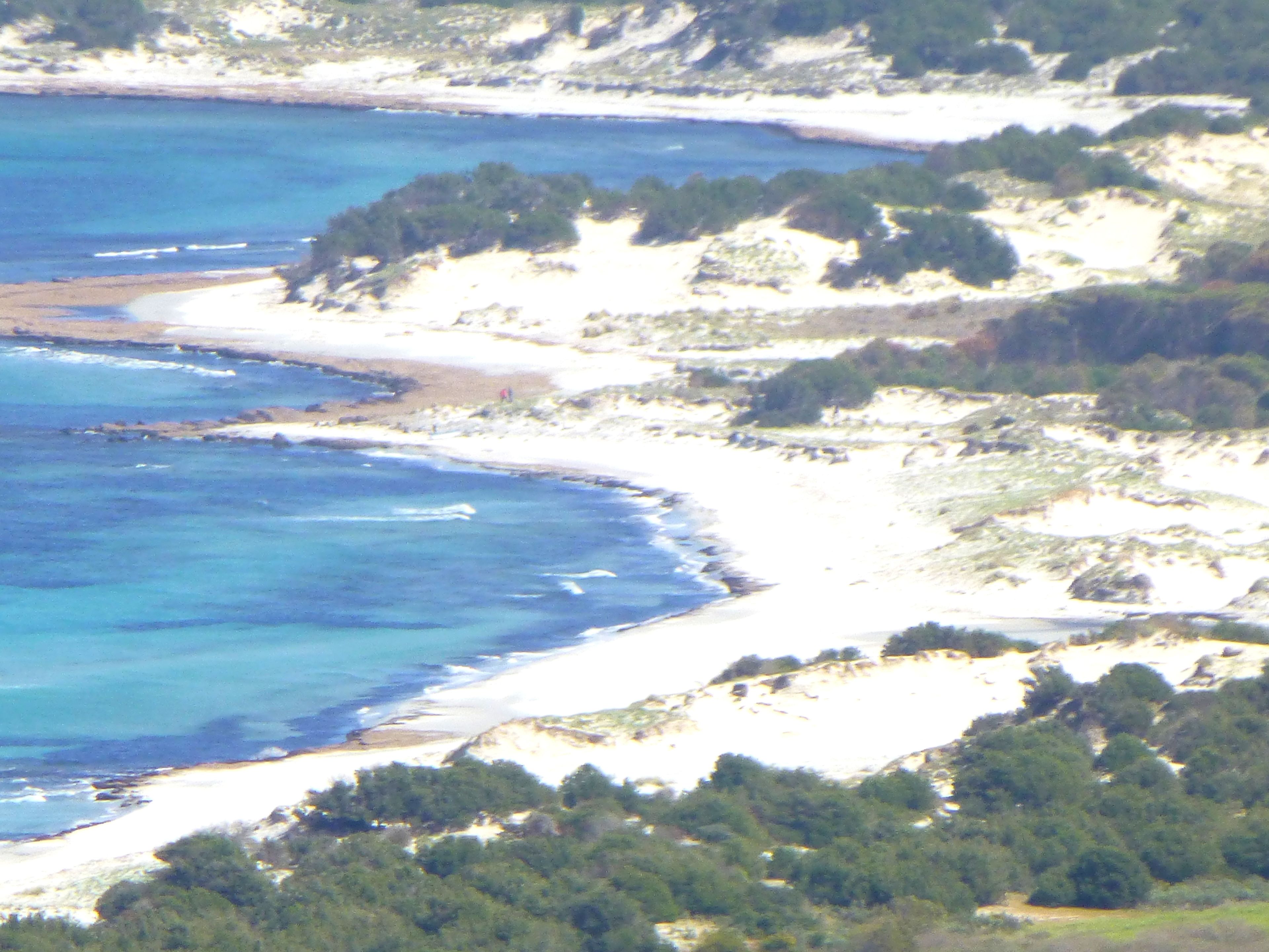 A coastal landscape with a sandy beach, a rocky shoreline, and dense greenery.