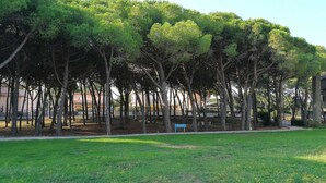 A park with tall trees and a grassy area.