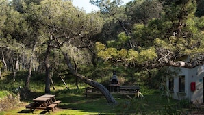 A picnic area with benches and a barbecue grill surrounded by trees.