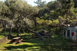 Aire de pique-nique/barbecue