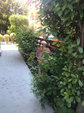 Property grounds - Villa Yanna Studios (Aristotelis)