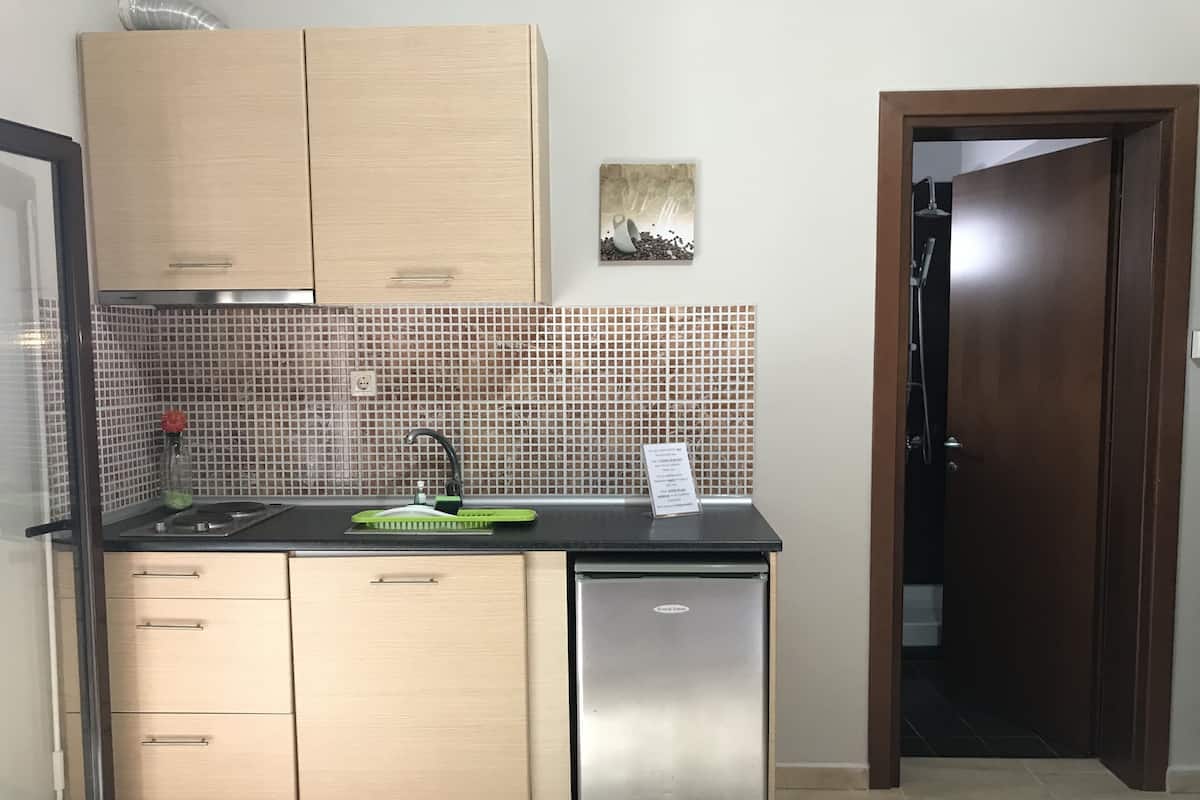 Une cuisine de taille réduite, équipée d’un évier, d’un petit réfrigérateur et de meubles de rangement en bois.