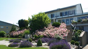 A residential building with a garden featuring pink flowers, green shrubs, and a paved pathway. - Weingut Pension Bastian (Brauneberg)