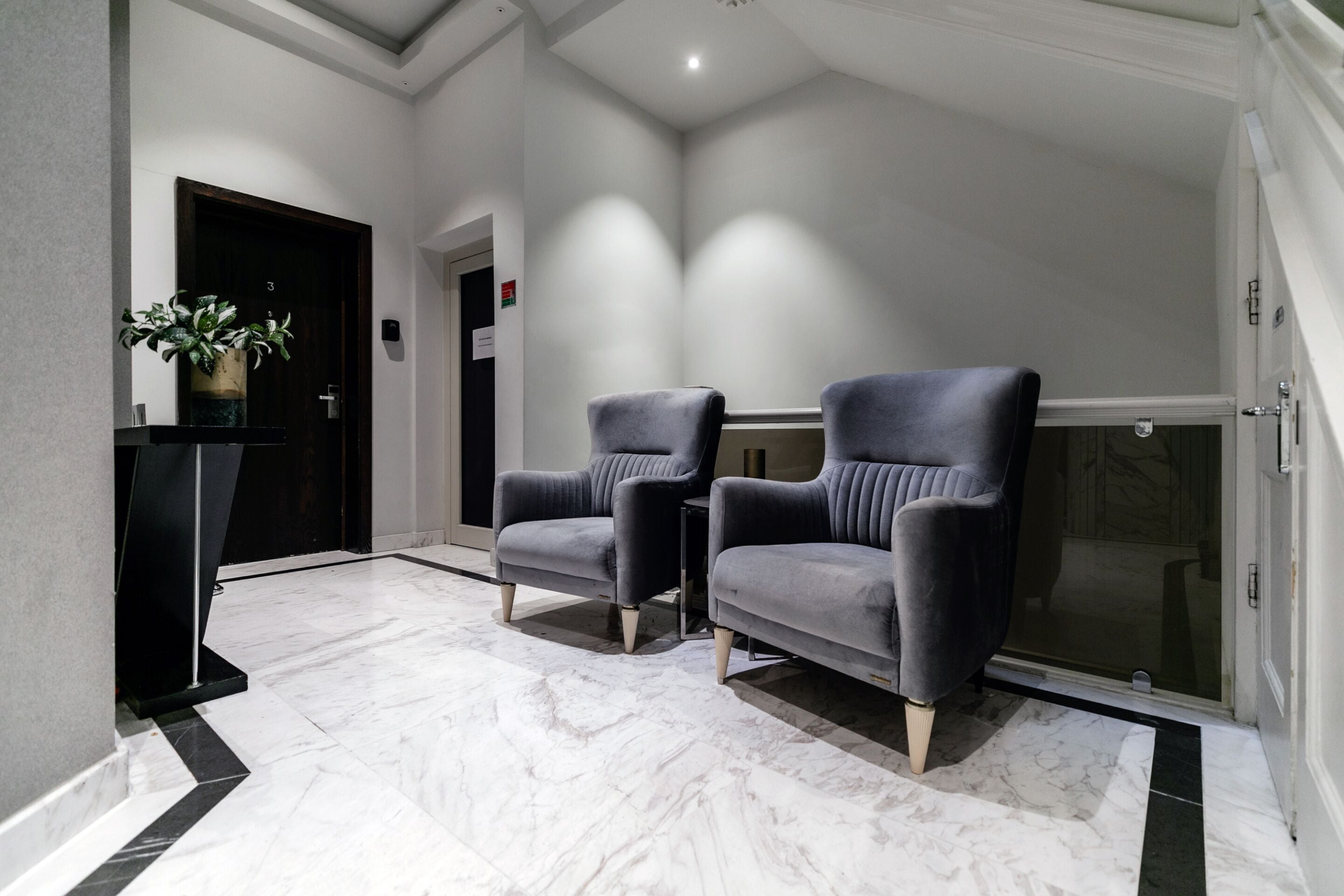 Un couloir avec deux fauteuils gris, une console noire ornée d’une plante et une porte en verre.
