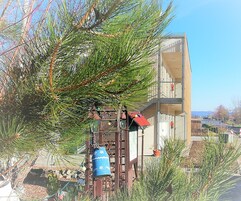 Un edificio con un diseño arquitectónico moderno, rodeado de vegetación y árboles.