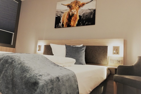 Desk, laptop workspace, free WiFi, bed sheets