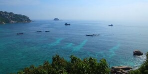 Pemandangan dari kamar