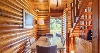 Mountain Cabin