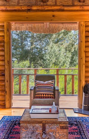 Télévision à écran plat, Netflix